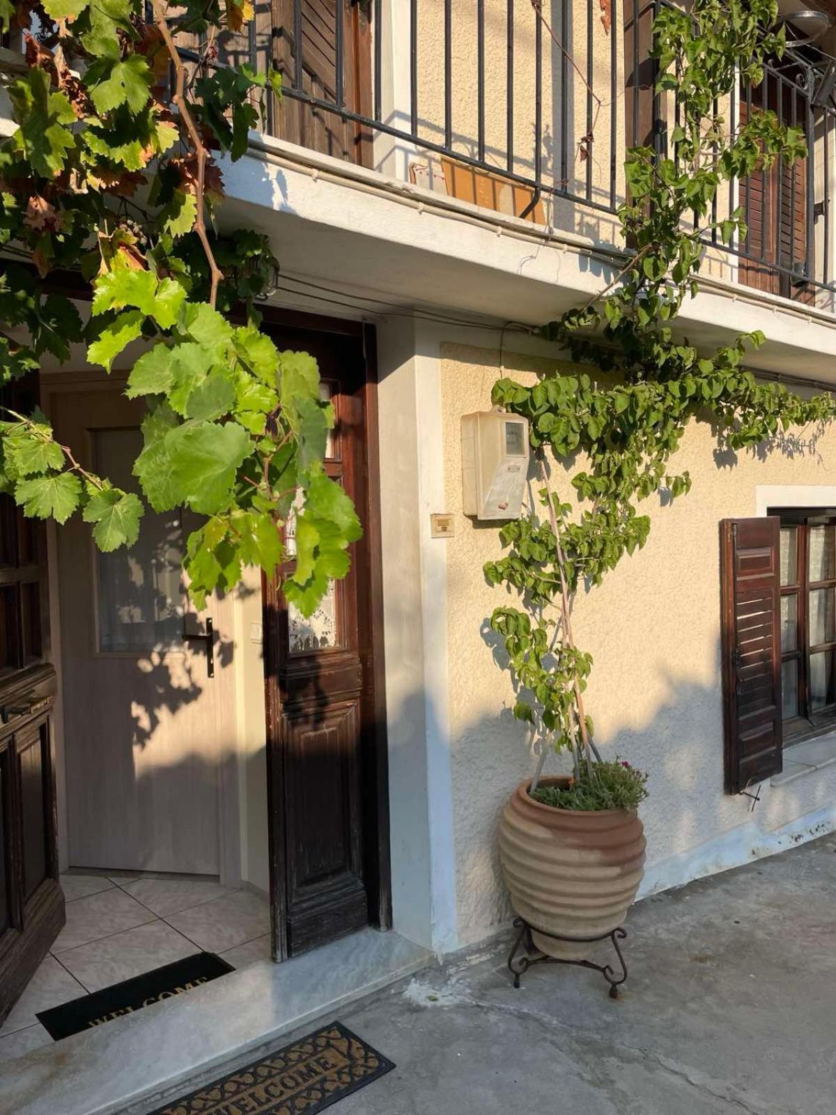 Katerinas Apartmens スキアトスタウン エクステリア 写真